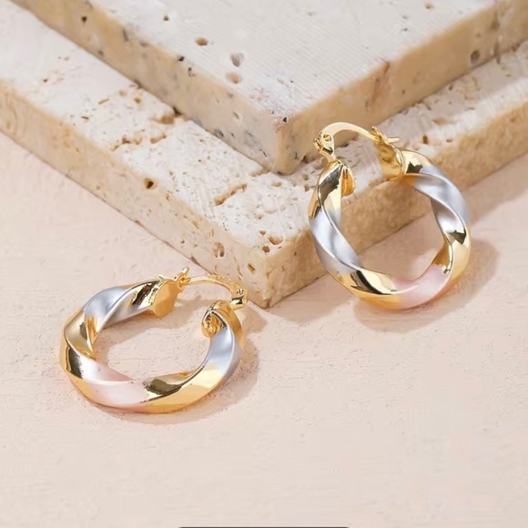 NWT Stainless Steel Twisted Golden Silver Hoop
Earrings - Picture 2 of 6